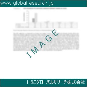 グローバルリサーチ調査資料のイメージ